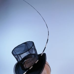 Haubenpieper Marlene