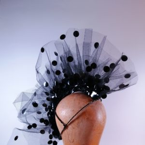 Haubenpieper Pocahontas