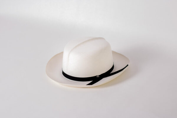 Panizza Panama Colonial