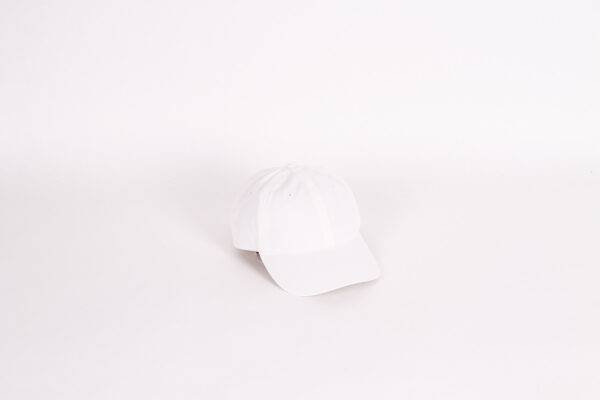 Stetson California Rector