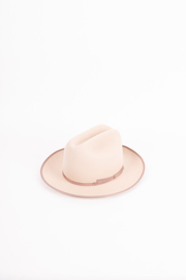 Bailey The Architect