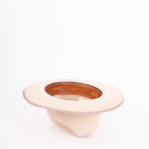 Bailey The Architect