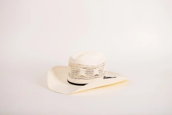 Bailey Western Desert Breeze