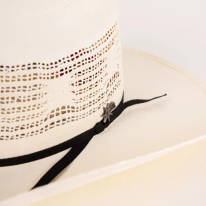 Bailey Western Desert Breeze