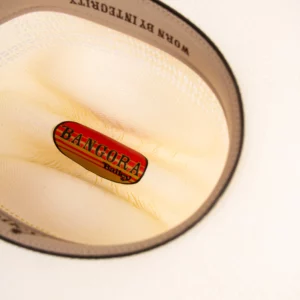 Bailey Western Desert Breeze