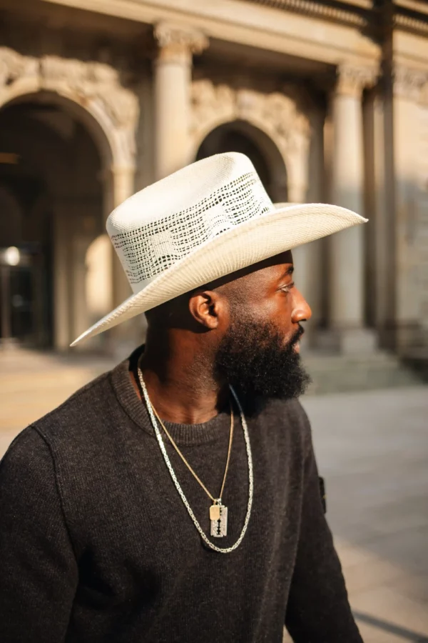 Bailey Western Desert Breeze