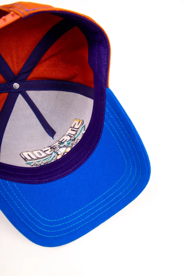 Stetson Trucker Cap Ski