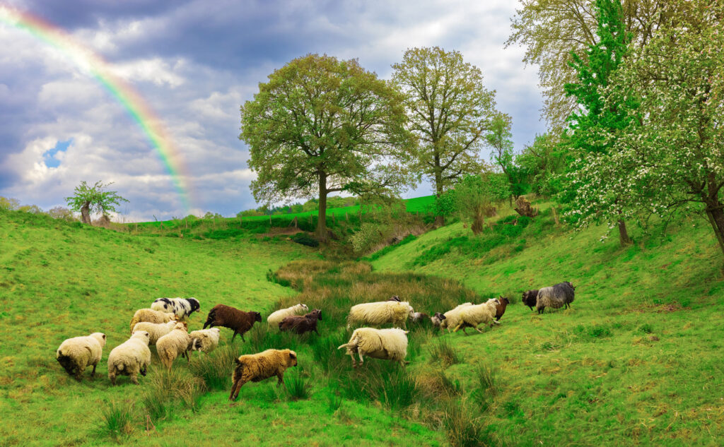 Give Love Back: Rainbow Wool steht für Mode mit Haltung und Herz