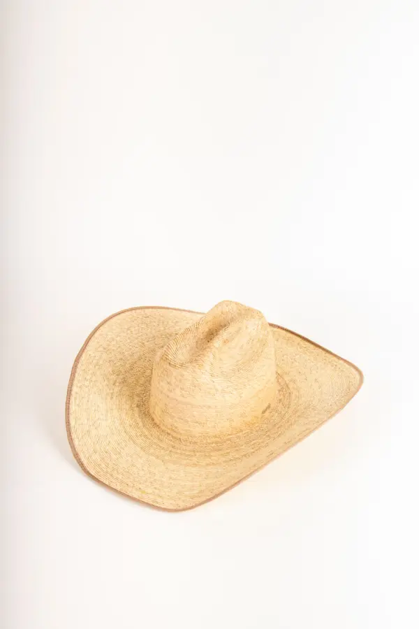 Fernandez y Roche Toro Palma Mexicana