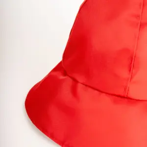 Julie Dubois Cumulus