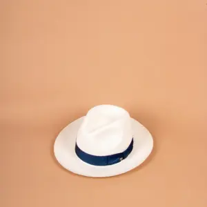 Panizza Brisa Panama