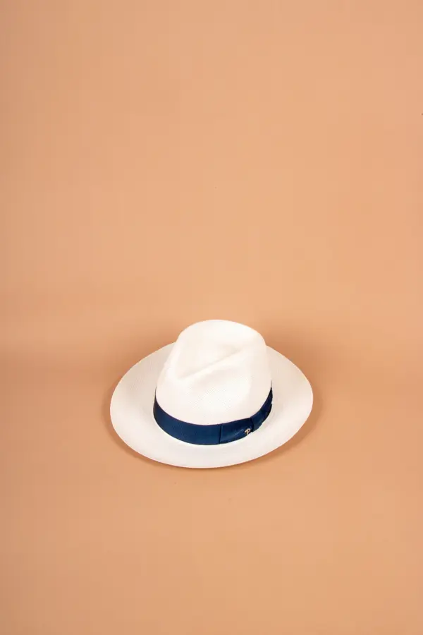 Panizza Brisa Panama