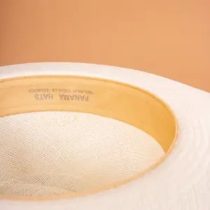 Panizza Brisa Panama