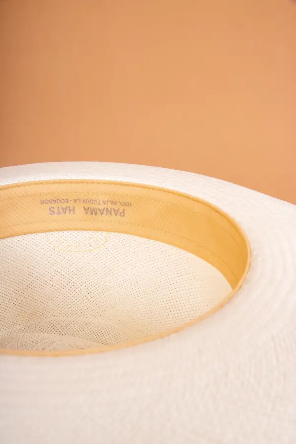 Panizza Brisa Panama