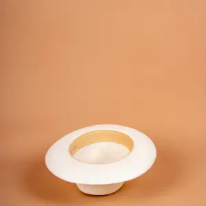 Panizza Brisa Panama