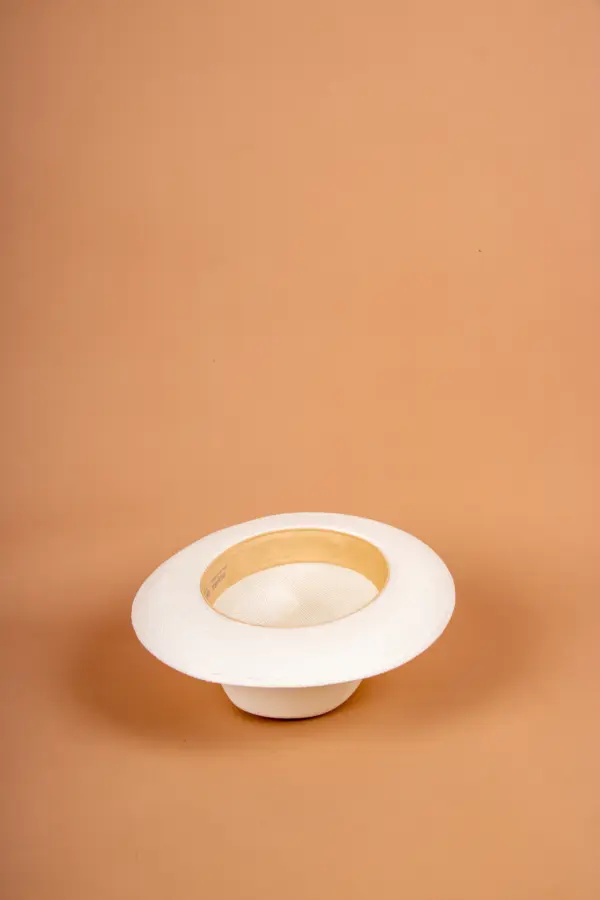 Panizza Brisa Panama