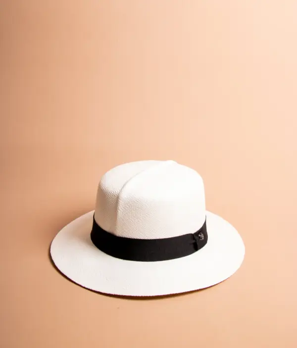 Vintimilla Hat rollbar