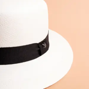 Vintimilla Hat rollbar