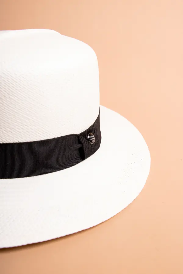 Vintimilla Hat rollbar