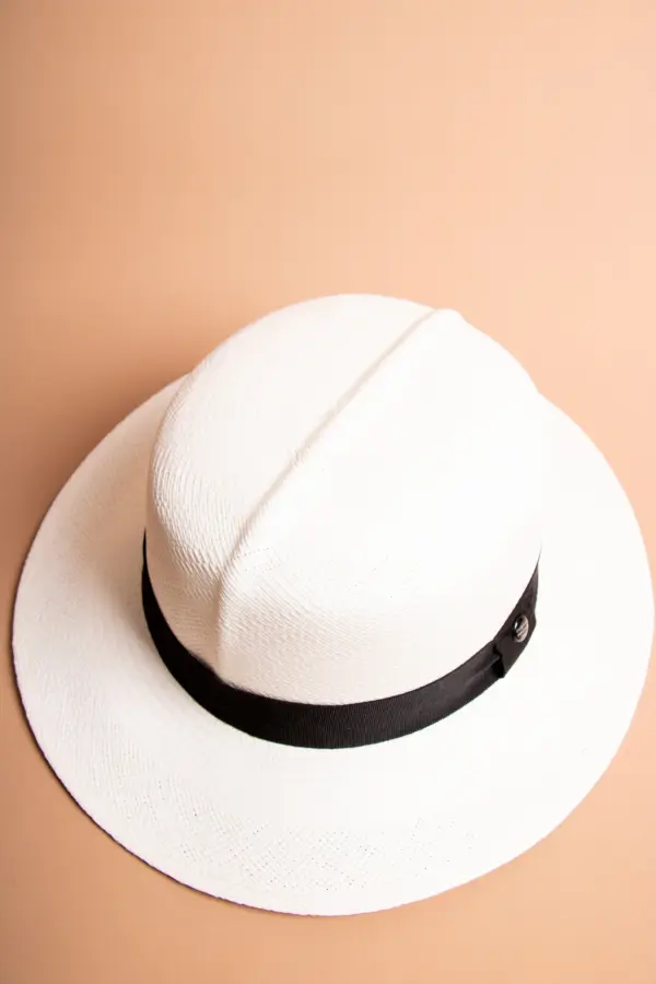 Vintimilla Hat rollbar