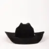 Bailey Luzerne Western Hat Bailey Luzerne Western Hat