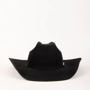 Bailey Luzerne Western Hat