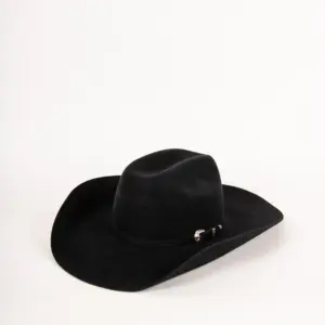 Bailey Luzerne Western Hat
