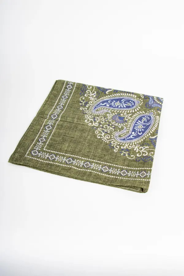 Hemley Seidentuch Paisley meliert Grün