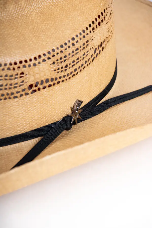 Bailey Westernhut Costa