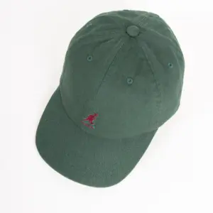 Kangol Washed Baseball Dad Cap Algengrün