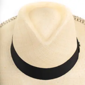 Vintimilla Hat Traveller