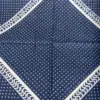 Stetson Bandana Abstract Geometric