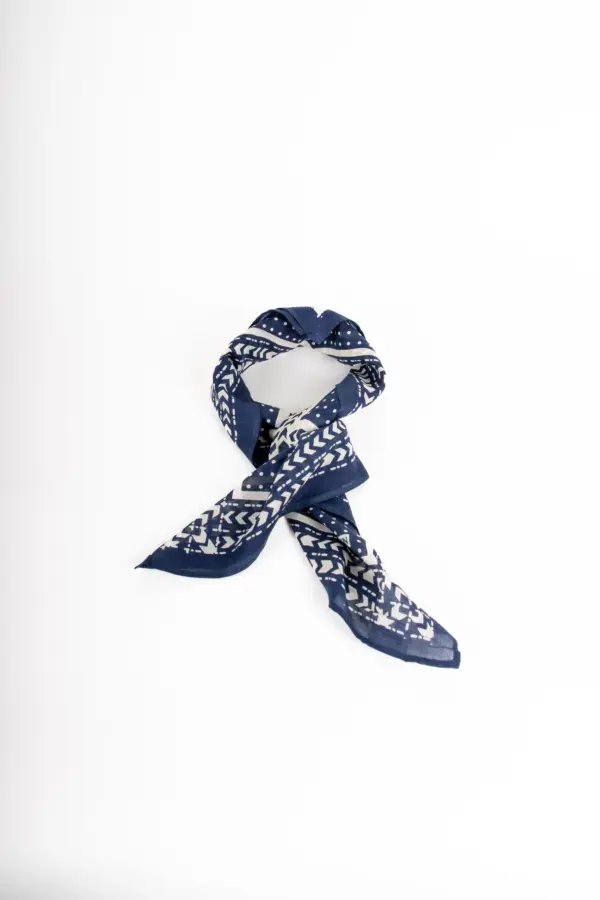 Stetson Bandana Abstract Geometric