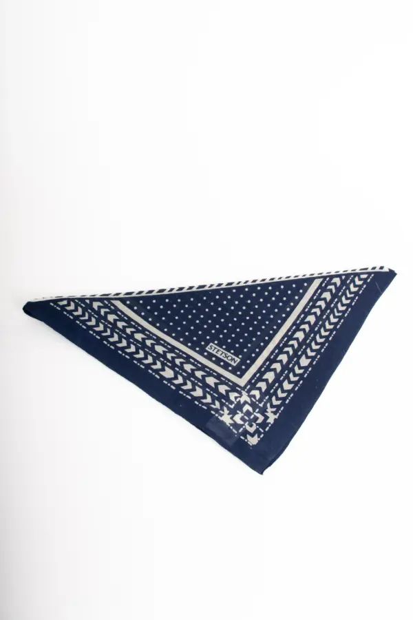 Stetson Bandana Abstract Geometric