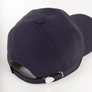 Alfonso D'Este Baseball Cap Regen