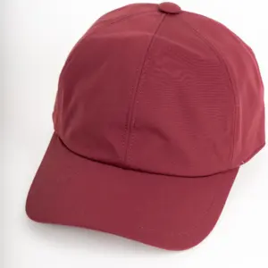 Alfonso D'Este Baseball Cap Regen