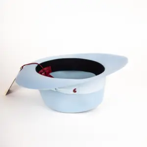 Alfonso D'Este Fedora Borsa Cut 2 Haarfilz