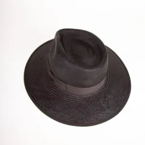 Panizza Brisa Panama Loya